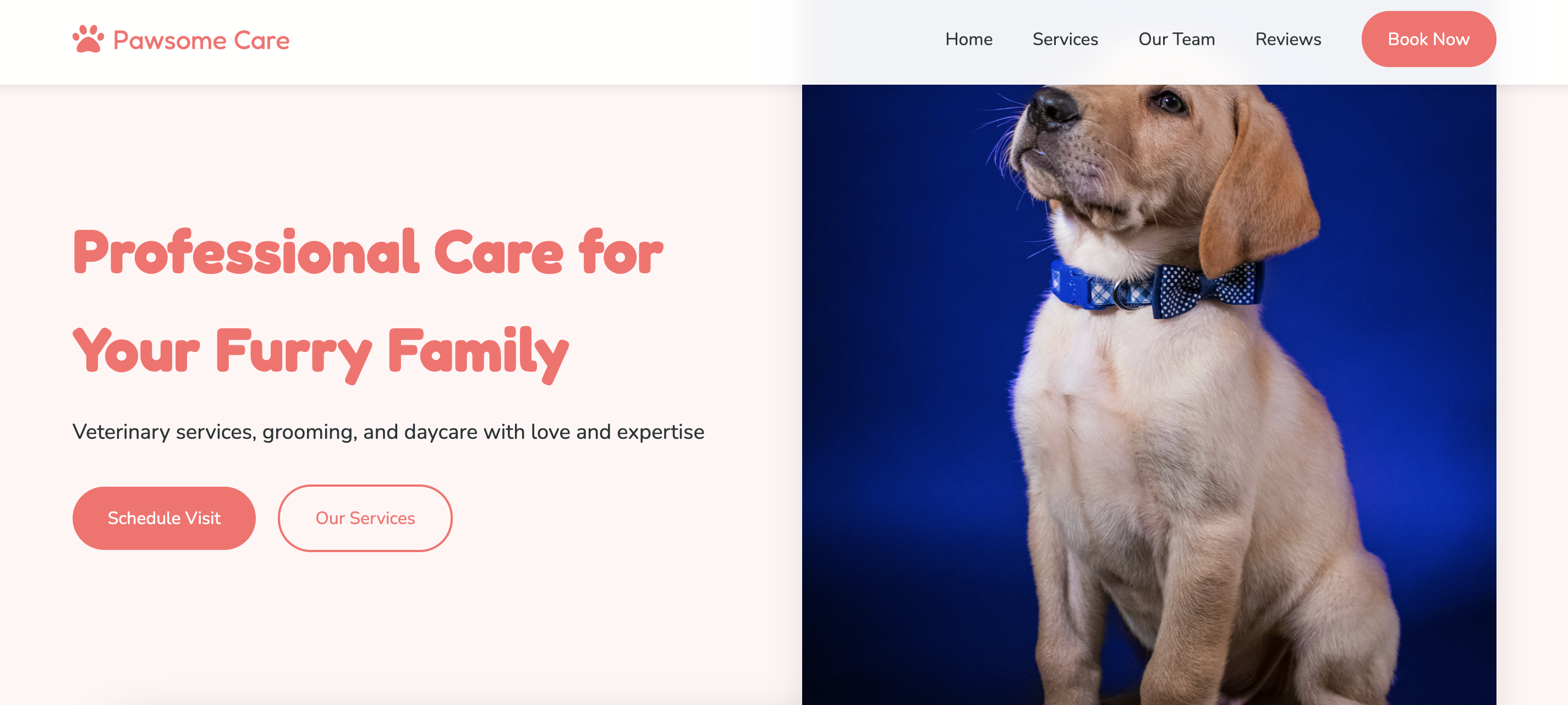 Pet Care Website Example